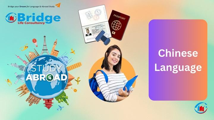 Learn More On Interview Preparation Class